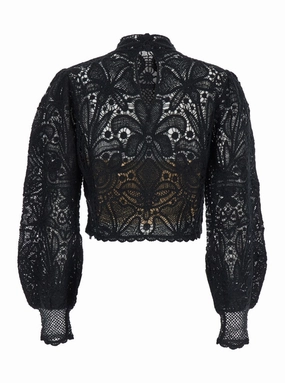 Lace Detail Cropped Sweater